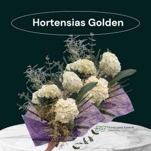 Ramo Hortensias Golden